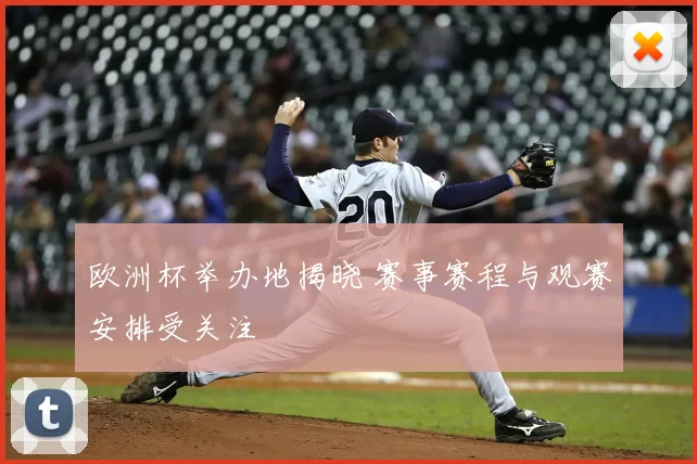 欧洲杯举办地揭晓 赛事赛程与观赛安排受关注